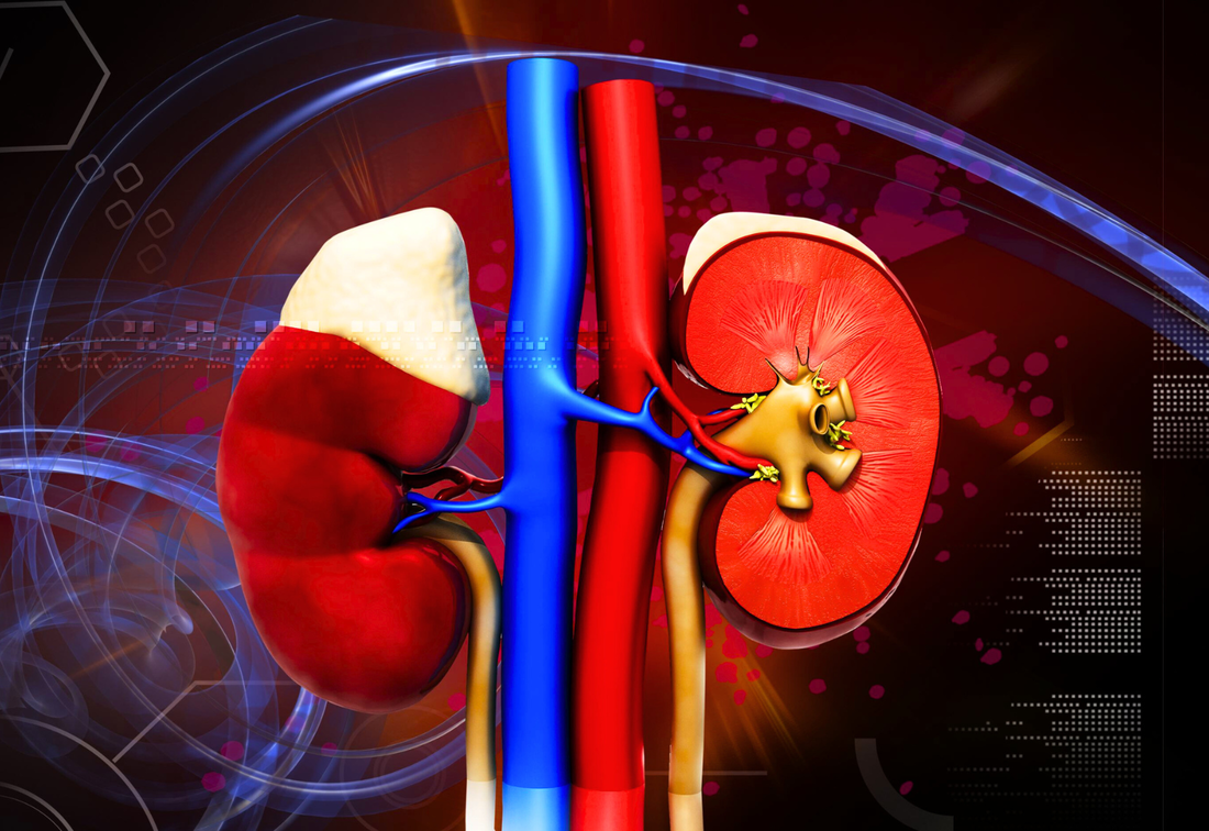 healthcaretoday, kidney health, acute kidney injury, kidney awareness, health education, Prevent AKI, kidney function, Chronic illness, Public health, kidney disease, health tips, kidney care, nutrition, hydration, Dr Lim Soo Kun, Astellas Pharma, 