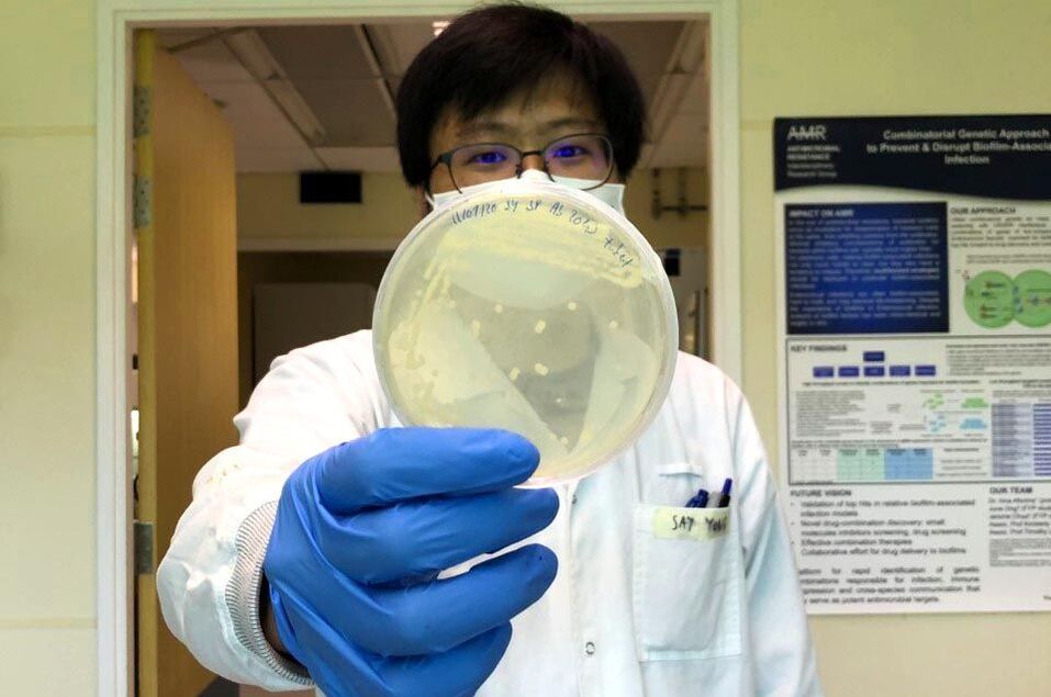 Healthcaretoday, antibiotic resistance, bacteria, Singapore-MIT Alliance for Research and Technology, SMART, hydrogen sulfide, drug resistance, antibiotic tolerance, antimicrobial resistance,