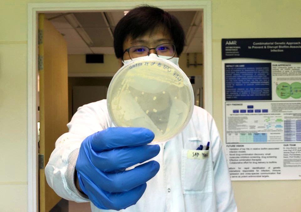 Healthcaretoday, antibiotic resistance, bacteria, Singapore-MIT Alliance for Research and Technology, SMART, hydrogen sulfide, drug resistance, antibiotic tolerance, antimicrobial resistance,