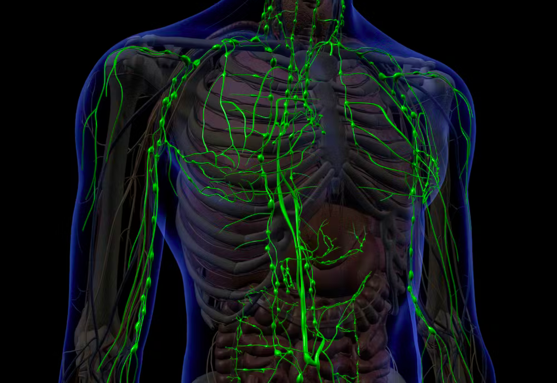 healthcaretoday, Type 1 diabetes, diabetes, blood glucose, diabetes care, childhood diabetes, glucometer, glucose test strips, Roche, Novo Nordisk, MEMS