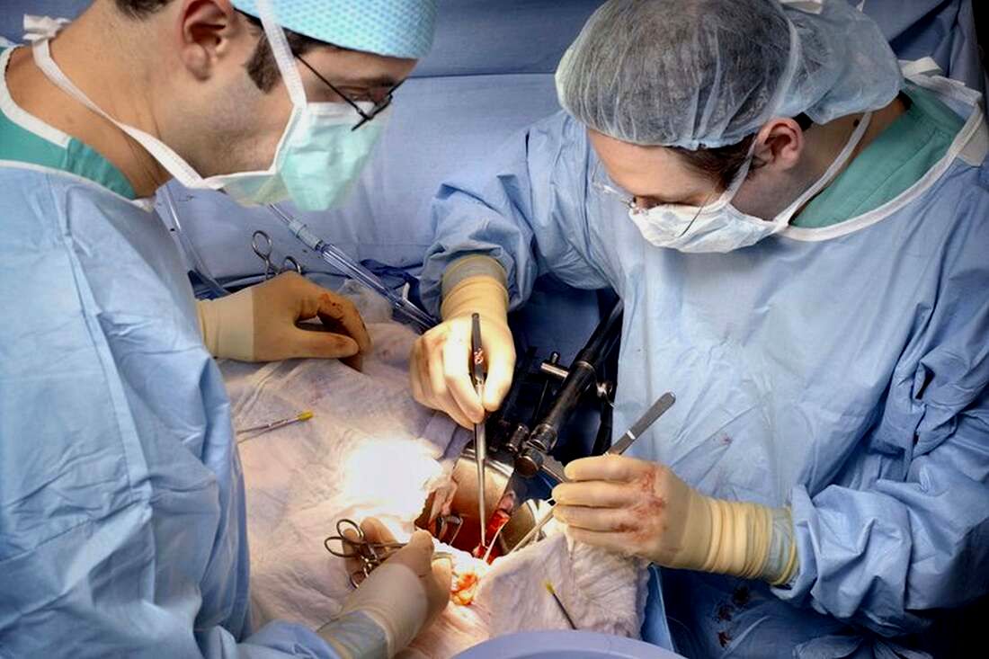 Healthcaretoday, HIV to HIV transplant, HOPE Act, HIV kidney disease, HIV living donor, organ donation, HIV transplant, Kidney transplant, HIV healthcare, medical innovation, HIV awareness, Transplant revolution, HIV positive, Kidney failure, Nephrology, 